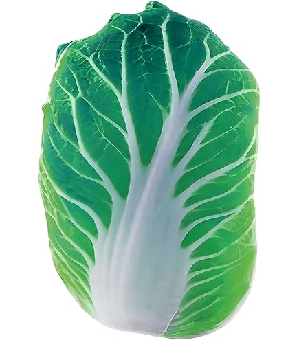 Amazon｜ノベルティフランネルブランケット、食品野菜印刷赤緑の